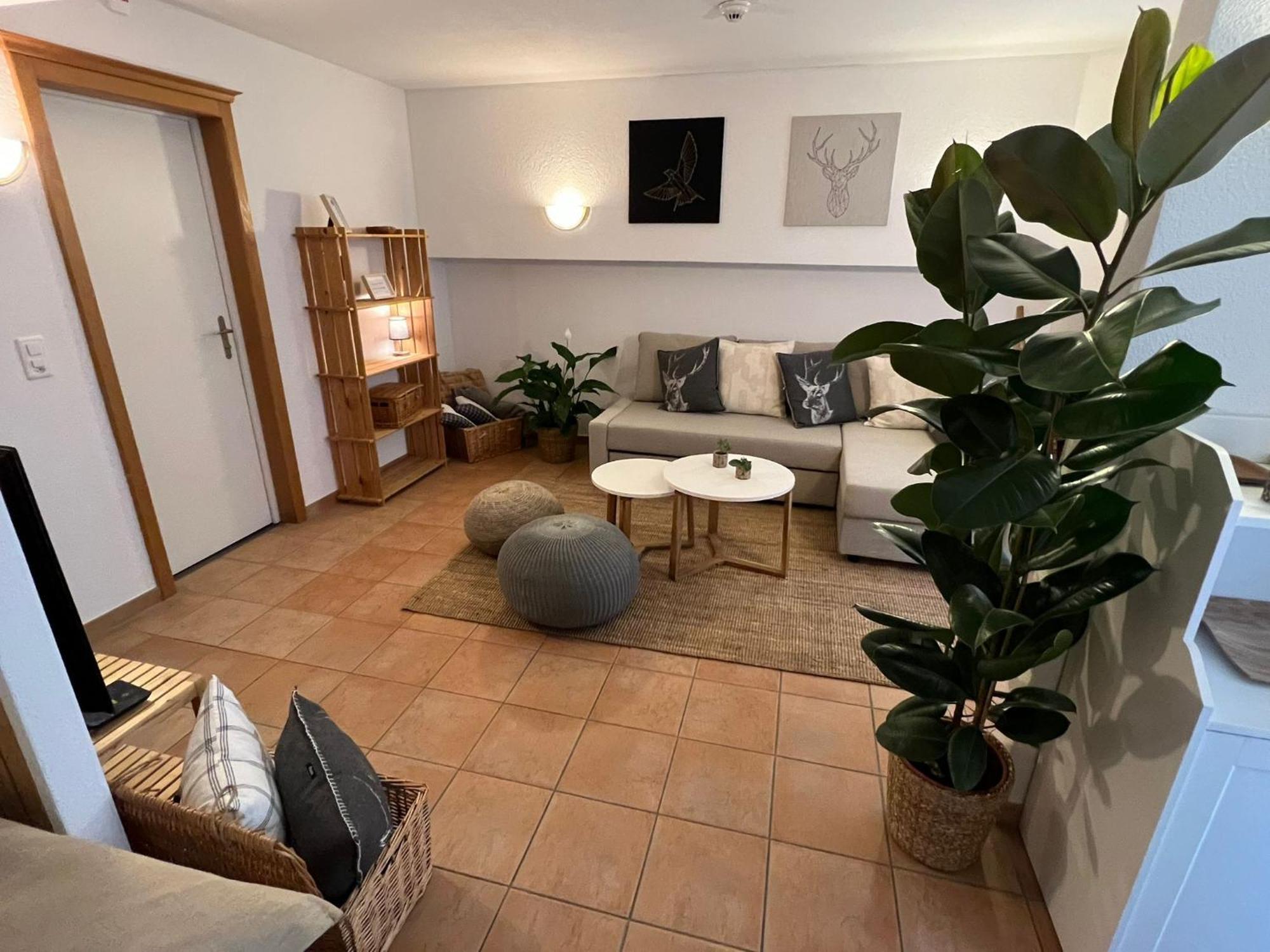 Spannort Family With Common Kitchen And Self Check-in Engelberg